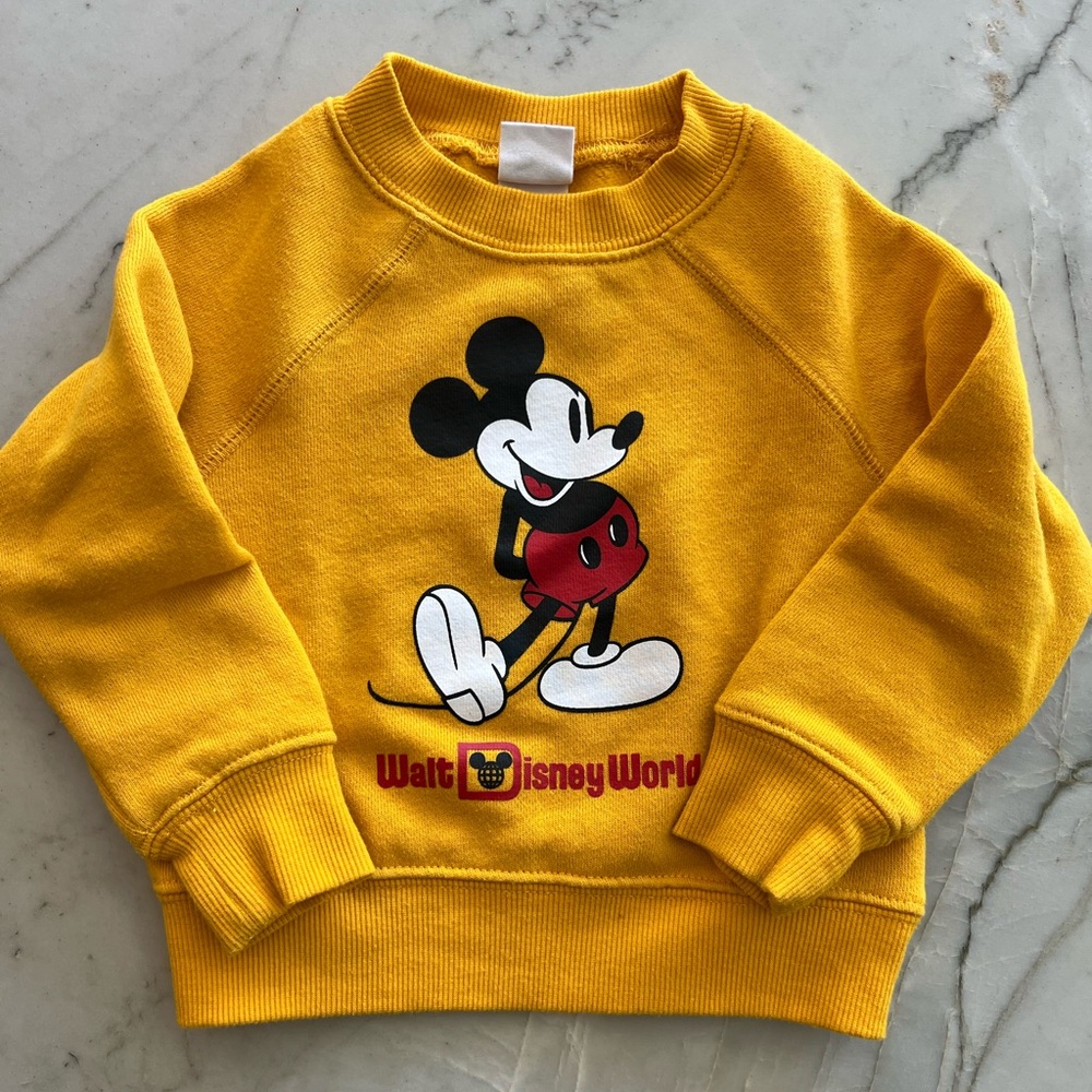 Walt Disney World Sweatshirt